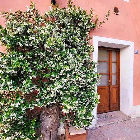 Jasmine Vakantiehuis *