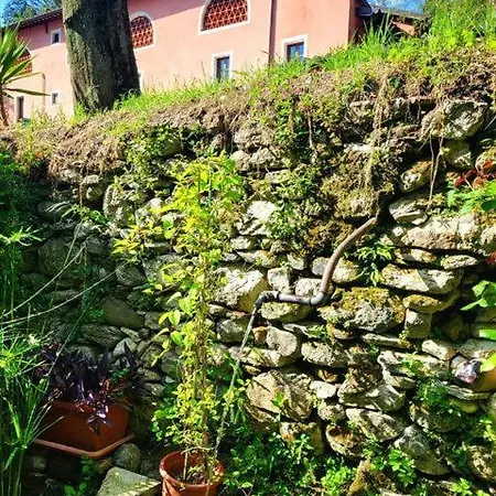 Vakantiehuis Jasmine Nocchi